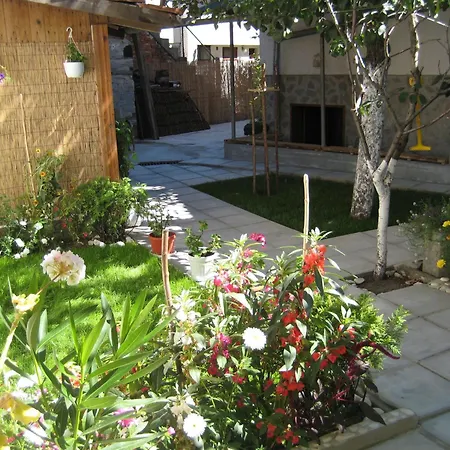 Aseva House فندق