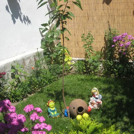 Aseva House 3* Банско