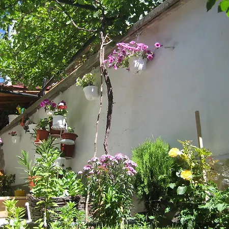 Отель Aseva House Банско