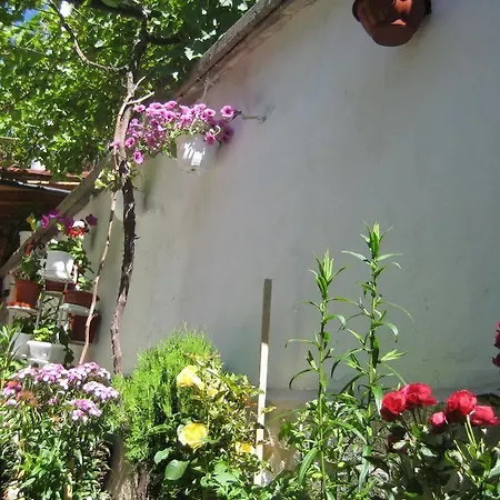 Aseva House