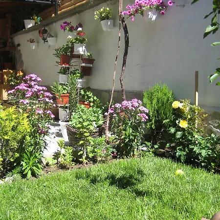 Aseva House Ξενοδοχείο Μπάνσκο