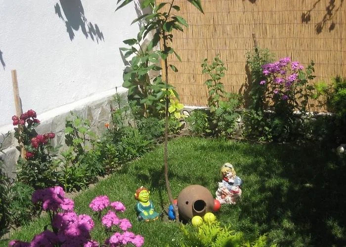 Aseva House 3* Банско