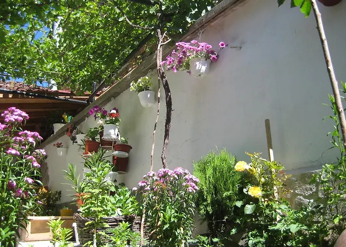 Отель Aseva House Банско