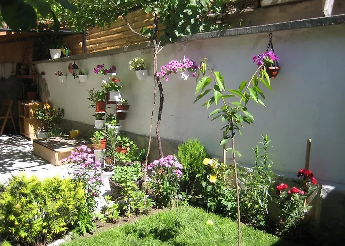 Отель Aseva House