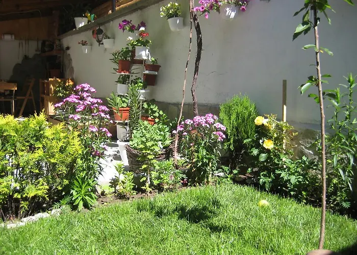 Aseva House מלון בנסקו