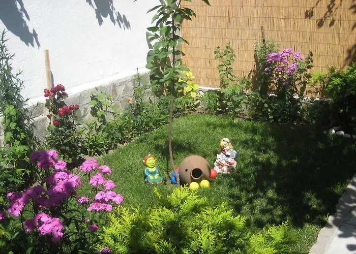 Aseva House 3* Банско